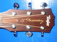 A closeup of the head of the 25th Anniversay model Taylor.